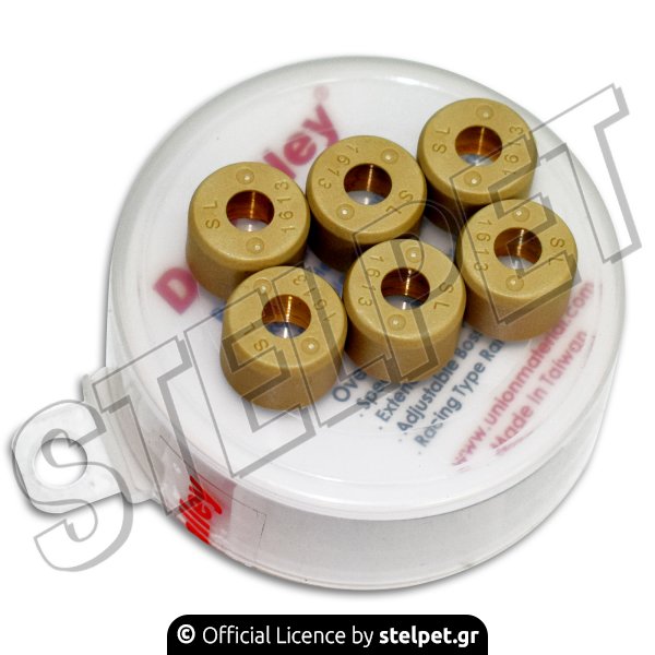 Μπίλιες βαριατόρ 13x13x5gr Dr. Pulley